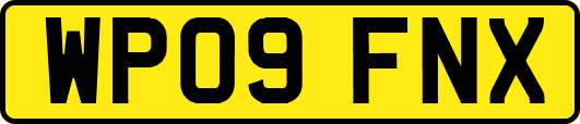 WP09FNX
