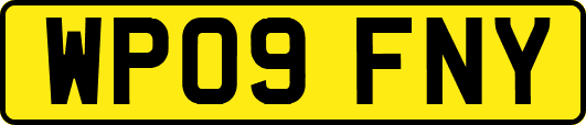 WP09FNY