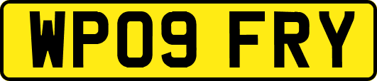 WP09FRY