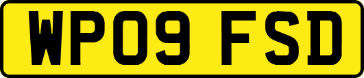 WP09FSD