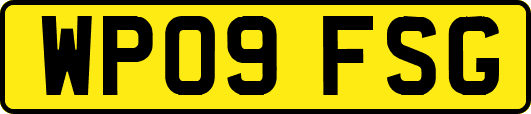 WP09FSG