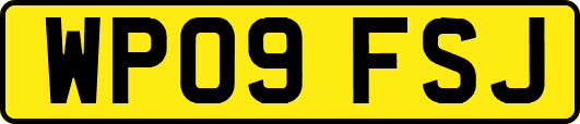 WP09FSJ