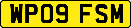 WP09FSM