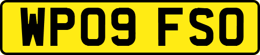 WP09FSO
