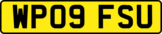 WP09FSU