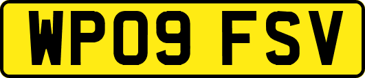 WP09FSV