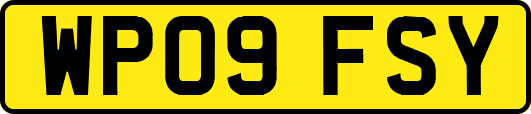 WP09FSY