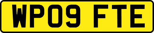 WP09FTE
