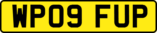 WP09FUP