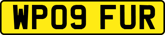 WP09FUR