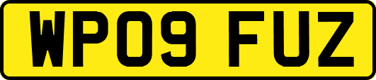 WP09FUZ