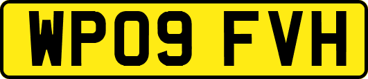 WP09FVH