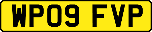 WP09FVP