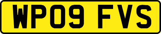 WP09FVS