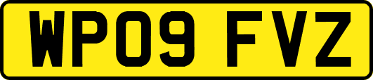 WP09FVZ