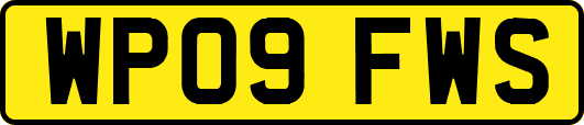 WP09FWS