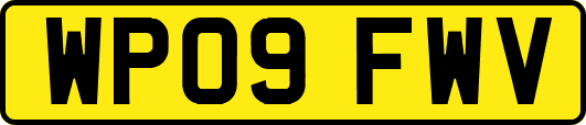 WP09FWV