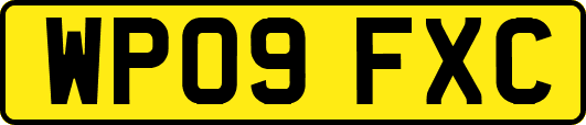 WP09FXC