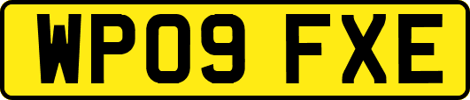 WP09FXE