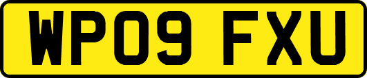 WP09FXU