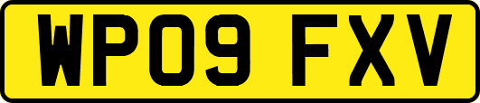 WP09FXV
