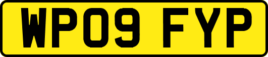 WP09FYP