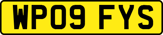 WP09FYS