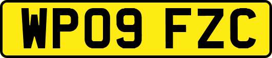 WP09FZC
