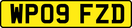WP09FZD