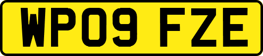 WP09FZE