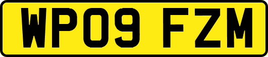 WP09FZM