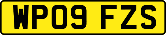 WP09FZS