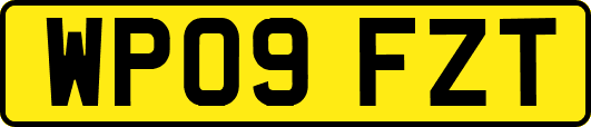 WP09FZT