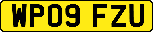 WP09FZU