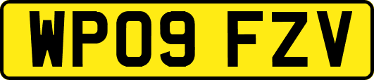 WP09FZV