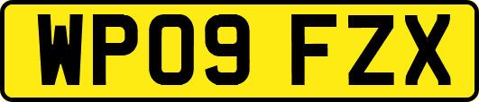 WP09FZX