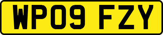 WP09FZY