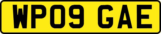 WP09GAE