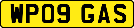 WP09GAS