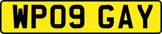 WP09GAY