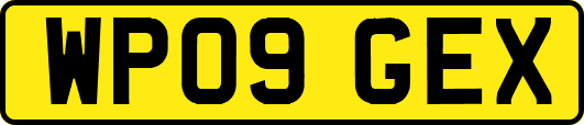WP09GEX