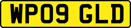 WP09GLD