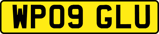 WP09GLU