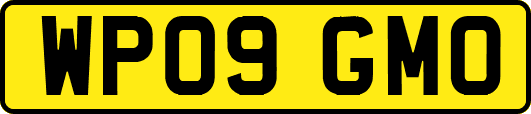 WP09GMO