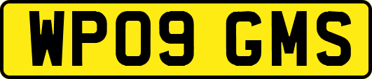 WP09GMS