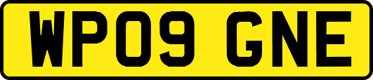 WP09GNE