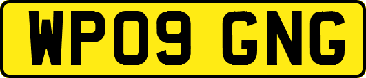 WP09GNG