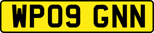 WP09GNN