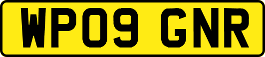 WP09GNR