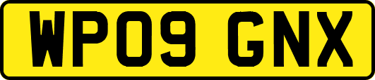 WP09GNX